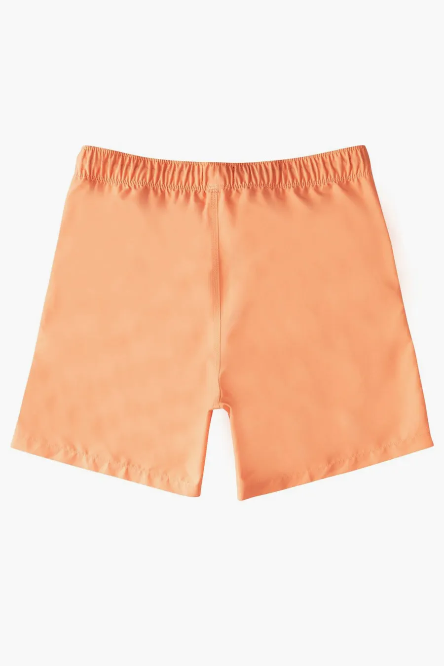 Boys Swim Billabong All Day Boardshorts